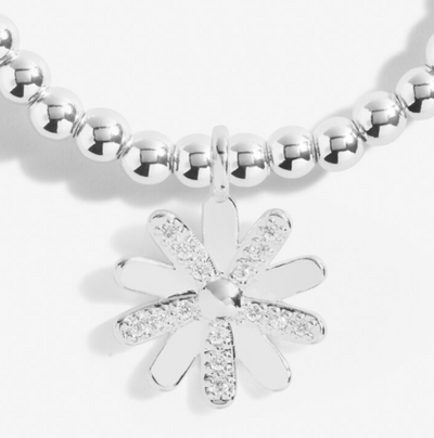 a little Great Grandma