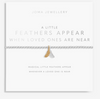 a little When Feathers Appear Loved Ones Are Near