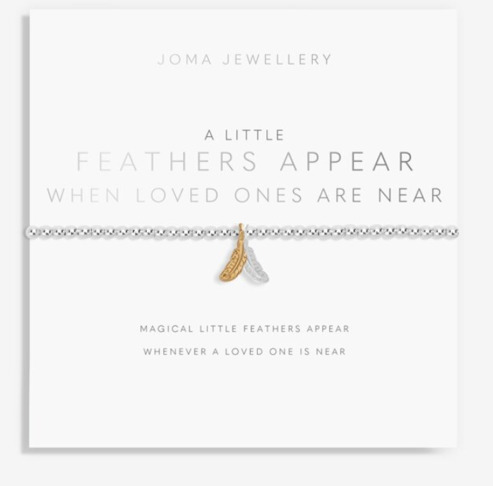 a little When Feathers Appear Loved Ones Are Near