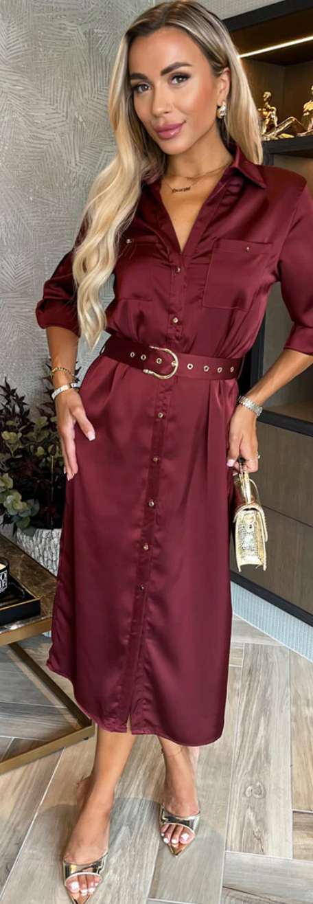 Satin Shirt Dress - Nelly's Satin Shirt Dress - Nelly's
