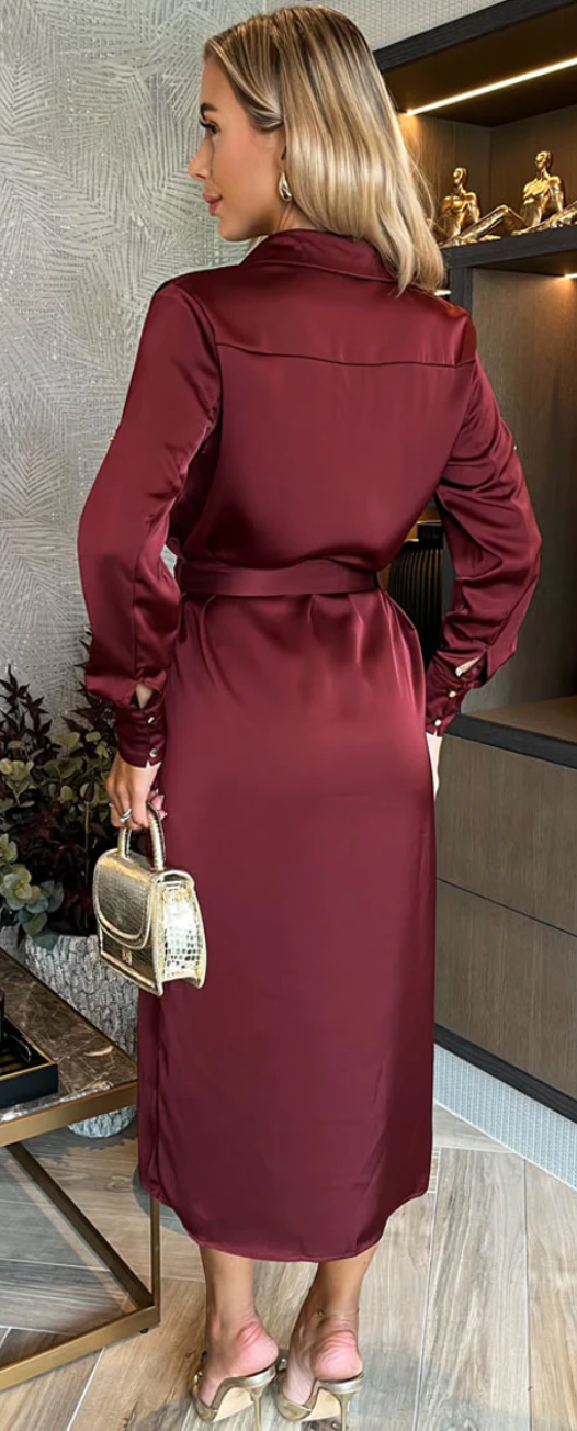 Satin Shirt Dress - Nelly's Satin Shirt Dress - Nelly's
