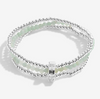 Serenity & Awareness Amazonite Bracelet